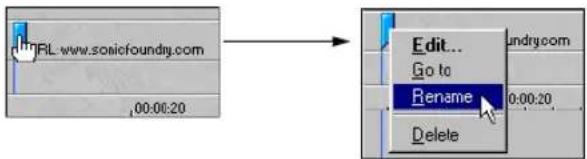 URL: www.sosicfoundiy.com 00:00:20 Edit... Go to Rename Delete