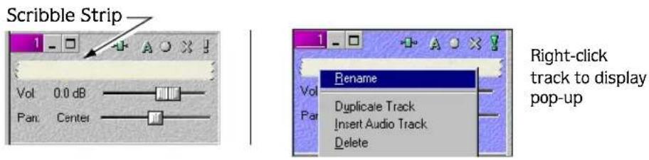 Scribble Strip Vol 0.0 dB Pan Center Rename Duplicate Track Insert Audio Track Delete Right-click track to display pop-up