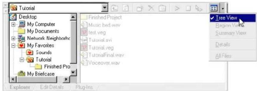 Tutorial Desktop My Computer My Documents Network Neighborhood My Favorites Sounds Tutorial Finished Pro My Briefcase Finished Project Music bed.wav test.veg Tutorial.avi Tutorial.veg TutorialFinal.wav Voiceover.wav Explorer Edit Details Plug-Ins Tree View Region View Summary View Details All Files