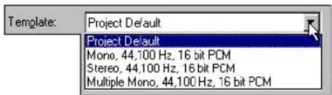 Template: Project Default Project Default Mono, 44,100 Hz, 16 bit PCM Stereo, 44,100 Hz, 16 bit PCM Multiple Mono, 44,100 Hz, 16 bit PCM