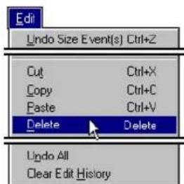Edit Undo Size Event(s) Ctrl+Z Cut Ctrl+X Copy Ctrl+C Paste Ctrl+V Delete Delete Undo All Clear Edit History