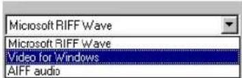 Microsoft RIFF Wave Microsoft RIFF Wave Video for Windows AIFF audio