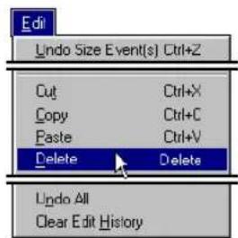 Edit Undo Size Event(s) Ctrl+Z Cut Ctrl+X Copy Ctrl+C Paste Ctrl+V Delete Delete Undo All Clear Edit History