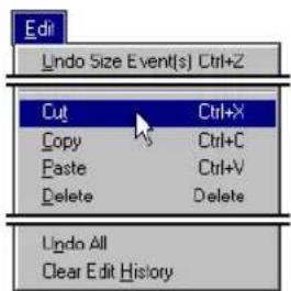 Edit Undo Size Event(s) Ctrl+Z Cut Ctrl+X Copy Ctrl+C Paste Ctrl+V Delete Delete Undo All Clear Edit History