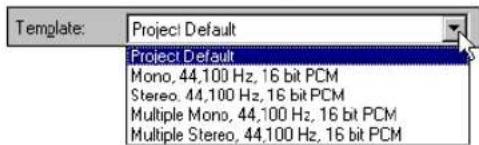 Template: Project Default Project Default Mono, 44,100 Hz, 16 bit PCM Stereo, 44,100 Hz, 16 bit PCM Multiple Mono, 44,100 Hz, 16 bit PCM Multiple Stereo, 44,100 Hz, 16 bit PCM