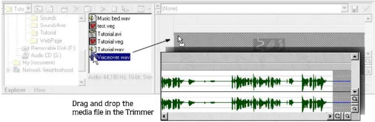 Music bed.wav test.veg Tutorial avi Tutorial veg Tutorial way Voiceover way Drag and drop the media file in the Trimmer