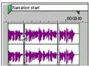 Narration:start 00:00:10