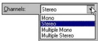 Channels: Stereo Mono Stereo Multiple Mono Multiple Stereo