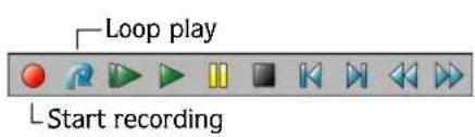 Loop play Start recording