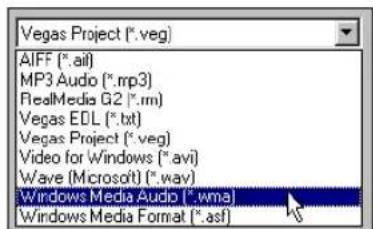 Vegas Project (*.veg) AIFF (*.aii) MP3 Audio (*.mp3) RealMedia G2 (*.rm) Vegas EDL (*.txt) Vegas Project (*.veg) Video for Windows (*.avi) Wave (Microsoft) (*.wav) Windows Media Audio (*.wma) Windows Media Format (*.asf)