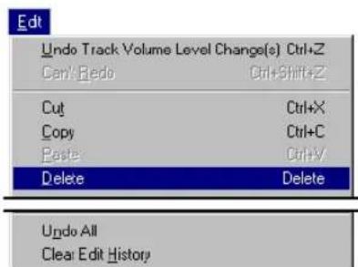Edit Undo Track Volume Level Change(s) Ctrl+Z Cut Ctrl+Shift+Z Copy Ctrl+X Paste Ctrl+C Delete Ctrl+Y Delete Undo All Clear Edit History