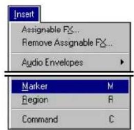 Insert Assignable Fx... Remove Assignable Fx... Audio Envelopes Marker N Region R Command C