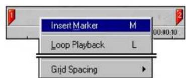 Insert Marker M Loop Playback L Grid Spacing