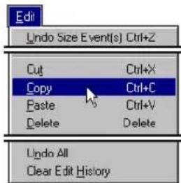 Edit Undo Size Event(s) Ctrl+Z Cut Ctrl+X Copy Ctrl+C Paste Ctrl+V Delete Delete Undo All Clear Edit History