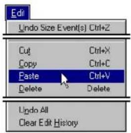 Edit Undo Size Event(s) Ctrl+Z Cut Ctrl+X Copy Ctrl+C Paste Ctrl+V Delete Delete Undo All Clear Edit History