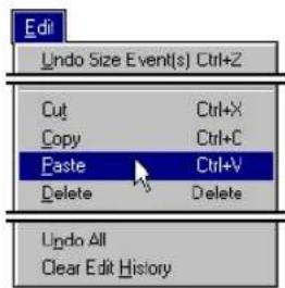 Edit Undo Size Event(s) Ctrl+Z Cut Ctrl+X Copy Ctrl+C Paste Ctrl+V Delete Delete Undo All Clear Edit History