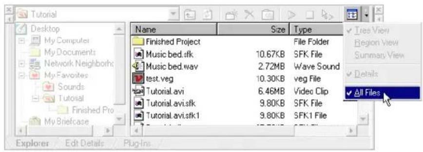 Tutorial Desktop My Computer My Documents Network Neighbors My Favorites Sounds Tutorial Finished Pro My Briefcase Name Size Type Finished Project File Folder Music bed.sfk 10.67KB SFK File Music bed.wav 2.72MB Wave Sound test.veg 10.30KB veg File Tutorial.avi 6.46MB Video Clip Tutorial.avi.sfk 9.80KB SFK File Tutorial.avi.sfk1 9.80KB SFK1 File All Files Explorer Edit Details Plug-In