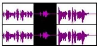 Audio waveform display showing four quadrants with purple amplitude variations across a black background