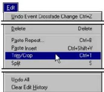 Edit Undo Event Crosstade Change Ctrl+Z Delete Delete Paste Repeat... Ctrl+B Paste Insert Ctrl+Shift+V Trim/Crop Ctrl+T Split 5 Undo All Clear Edit History