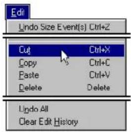 Edit Undo Size Event(s) Ctrl+Z Cut Ctrl+X Copy Ctrl+C Paste Ctrl+V Delete Delete Undo All Clear Edit History