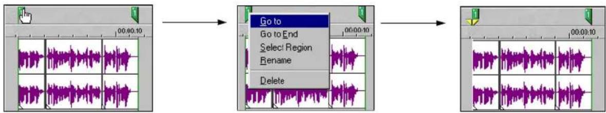 SONY Vegas Pro 1 - Navigating to a region - 1