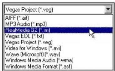 Vegas Project (*.veg) AIFF (*.aif) MP3Audio (*.mp3) RiceMedia G2 (*.im) Vegas EDL (*.txt) Vegas Project (*.veg) Video for Windows (*.avi) Wave (Microsoft) (*.wav) Windows Media Audio (*.wma) Windows Media Format (*.asf)