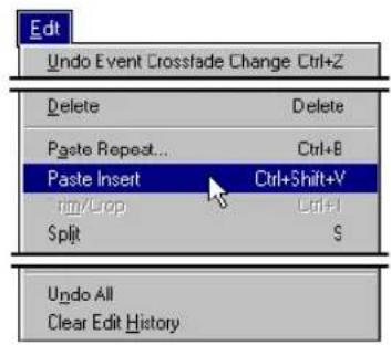 Edit Undo Event Crossfade Change Ctrl+Z Delete Delete Paste Repeat... Ctrl+B Paste Insert Ctrl+Shift+V Trim/Lrop Edit+S Split S Undo All Clear Edit History