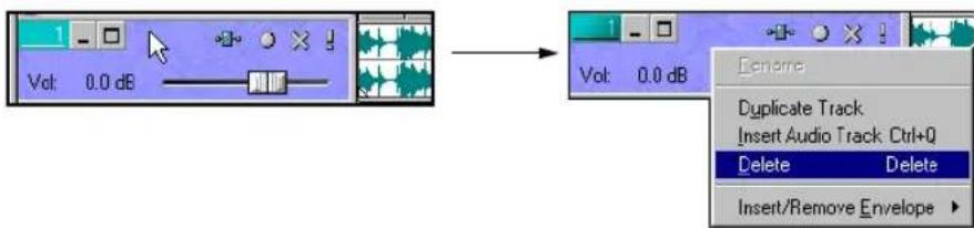 Vol: 0.0 dB Enerone Duplicate Track Insert Audio Track. Ctrl+Q Delete Delete Insert/Remove Envelope