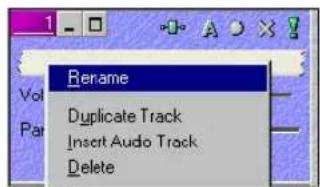 Rename Duplicate Track Insert Audio Track Delete