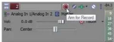 Analog In 1/Analog In 2 Vol: 0.0 dB Pan: Center Am for Record Touch