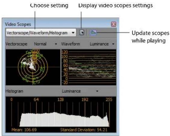 Choose setting Display video scopes settings Video Scopes Vectorscope/Waveform/Histogram Update scopes while playing Vectorscope Normal Waveform Luminance 120 100 80 60 40 20 0 -20 Histogram Luminance 0 64 128 192 255 Mean: 106.69 Standard Deviation: 54.21