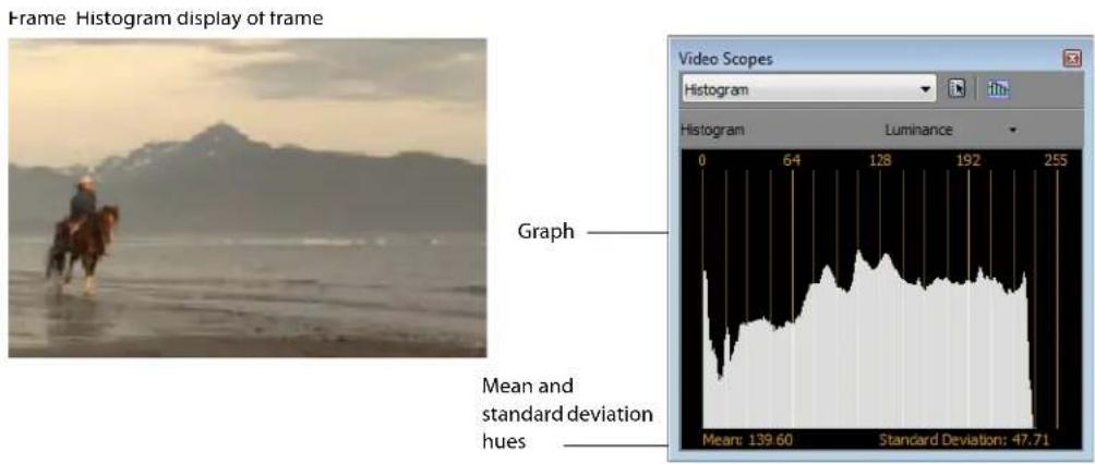 Frame Histogram display of frame Video Scopes Histogram Luminance 0 64 128 192 255 Graph Mean and standard deviation hues Mean: 139.60 Standard Deviation: 47.71