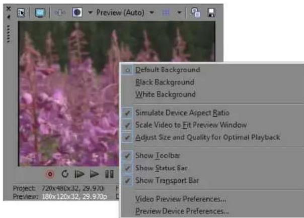 Preview (Auto) Default Background Black Background White Background Simulate Device Aspect Ratio Scale Video to Fit Preview Window Adjust Size and Quality for Optimal Playback Show Toolbar Show Status Bar Show Transport Bar Video Preview Preferences... Preview Device Preferences...