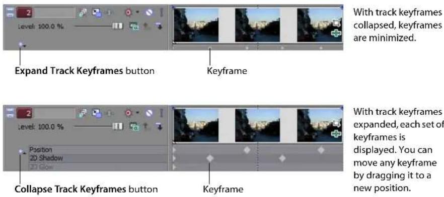 2 Level: 100.0 % Expand Track Keyframes button Keyframe With track keyframes collapsed, keyframes are minimized. 2 Level: 100.0 % Position 2D Shadow 3D Glow Collapse Track Keyframes button Keyframe With track keyframes expanded, each set of keyframes is displayed. You can move any keyframe by dragging it to a new position.
