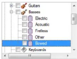 Guitars Basses Electric Acoustic Fretless Other Bowed Keyboards