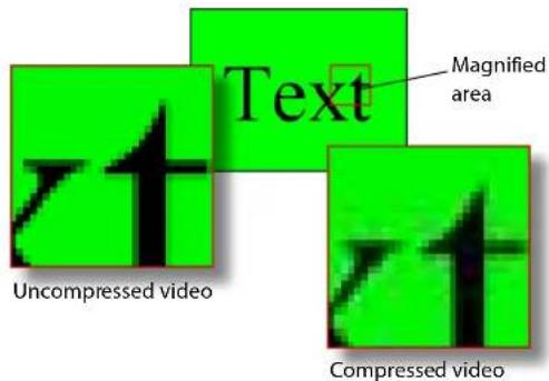 Text Magnified area Uncompressed video Compressed video