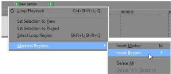 New section Loop Playback Ctrl+Shift+L; Q Set Selection to View Set Selection to Project Select Loop Region Shift+L; Shift+Q Markers/Regions Insert Marker M Insert Region R Delete All Delete All in Selection