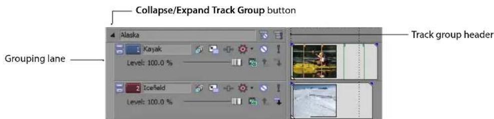 Collapse/Expand Track Group button Alaska 1 Kayak Level: 100.0 % 2 Icefield Level: 100.0 % Track group header Grouping lane