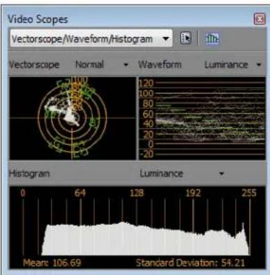 Video Scopes Vectorscope/Waveform/Histogram Vectorscope Normal Waveform Luminance Histogram Luminance 0 64 128 192 255 Mean: 106.69 Standard Deviation: 54.21