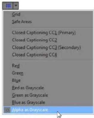 Grid Safe Areas Closed Captioning CC1 (Primary) Closed Captioning CC2 Closed Captioning CC3 (Secondary) Closed Captioning CC4 Red Green Blue Red as Grayscale Green as Grayscale Blue as Grayscale Alpha as Grayscale