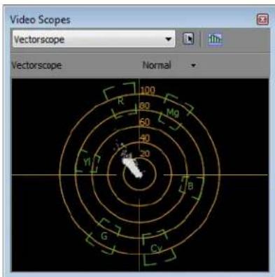 Video Scopes Vectorscope Normal Vectorscope R 60 Mg 40 B 20 G Y Cv