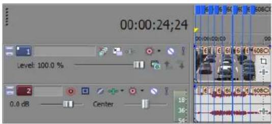 00:00:24:24 Level: 100.0 % 0.0 dB Center