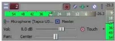 2 Microphone (Tapco US... Master Vol: 0.0 dB Pan: Center Touch 25.3 18 36 45 54