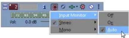 2 1 Vol: 0.0 dB Input Monitor Off Stereo On Mono Auto