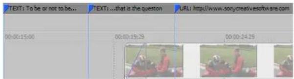 TEXT: To be or not to be... TEXT: ...that is the question URL: http://www.sonycreativesoftware.com 00:00:15:00 00:00:19:29 00:00:24:29