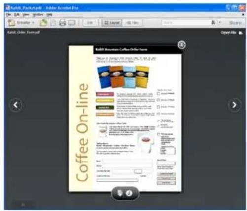 ADOBE Acrobat X Standard - Preview modes - 3