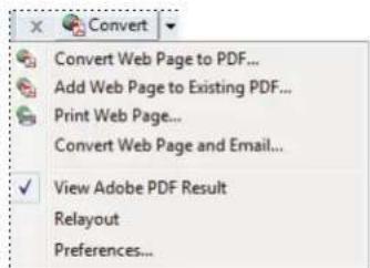 ADOBE Acrobat X Standard - Convert web pages to PDF in Internet Explorer and Firefox (Windows) - 1