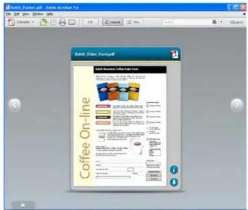 ADOBE Acrobat X Standard - Preview modes - 2