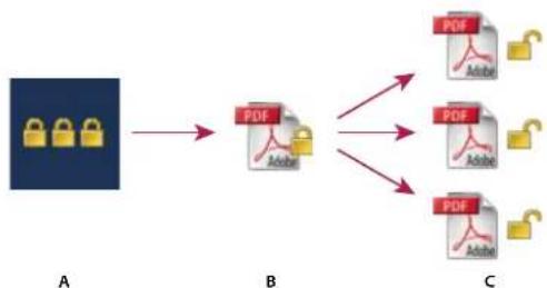 ADOBE Acrobat X Standard - How organizational policies are authenticated - 1