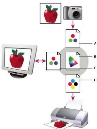 ADOBE Acrobat X Standard - About color profiles - 1